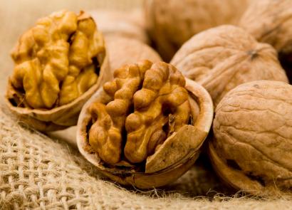 Орехи – польза и вред, применение в народной медицине